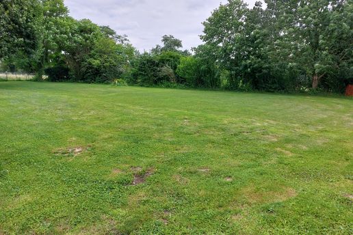 Eingezäuntes Trainingsgelände der PetStyle Hundeschule in Grenzach-Wyhlen, ideal für Hundehalter aus dem Raum Lörrach, Rheinfelden. und Weil am Rhein