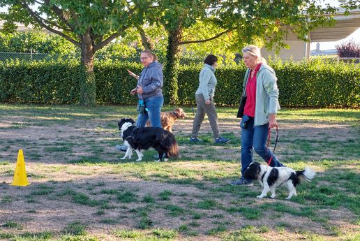 Hundehalter beim speziellen Grundkurs, gutes Benehmen leicht gemacht in der PetStyle Hundeschule in Grenzach-Wyhlen zwischen Rheinfelden und Weil am Rhein